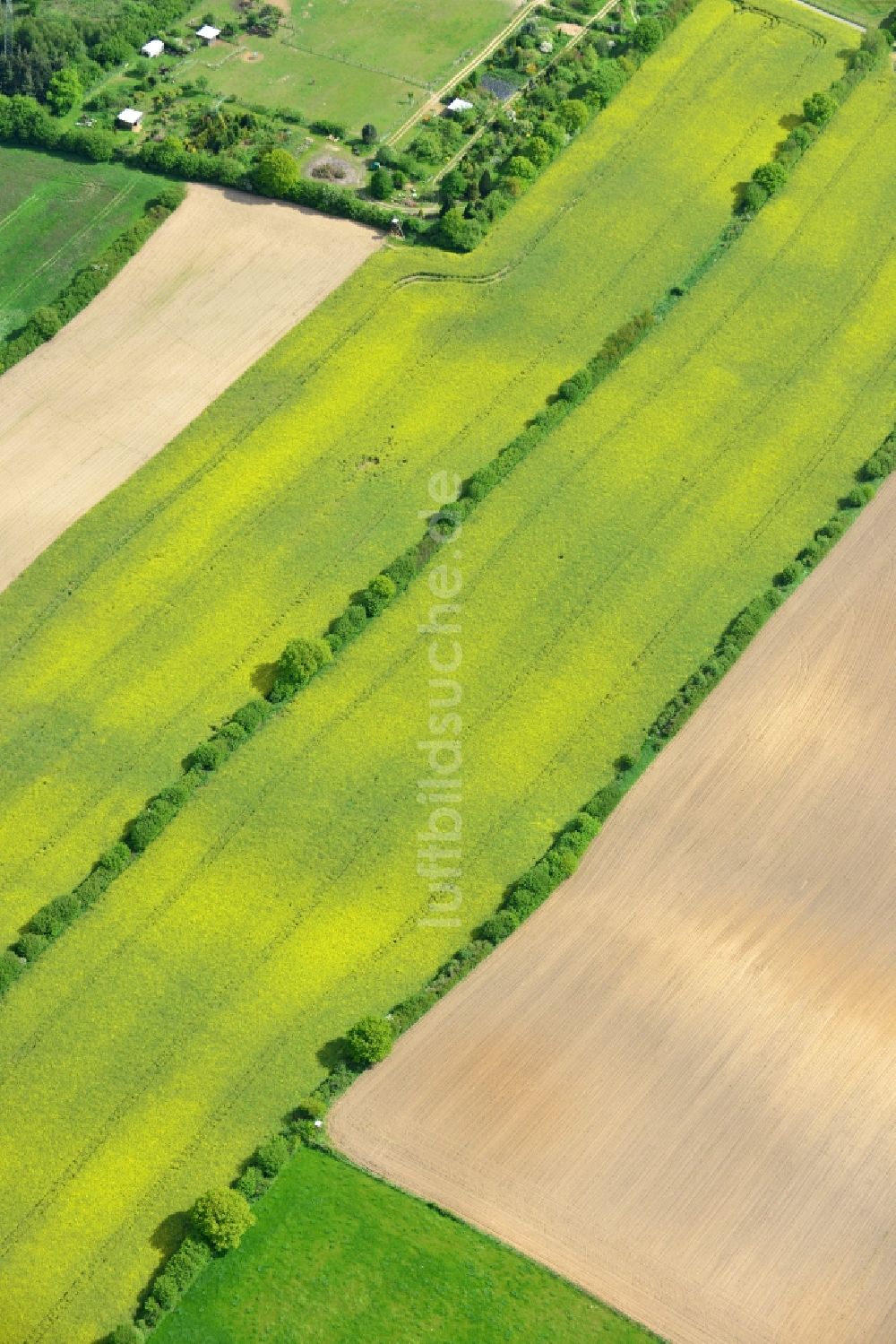 Luftbild Ratekau - Feld- Landschaft gelb blühender Raps- Blüten in Ratekau im Bundesland Schleswig-Holstein