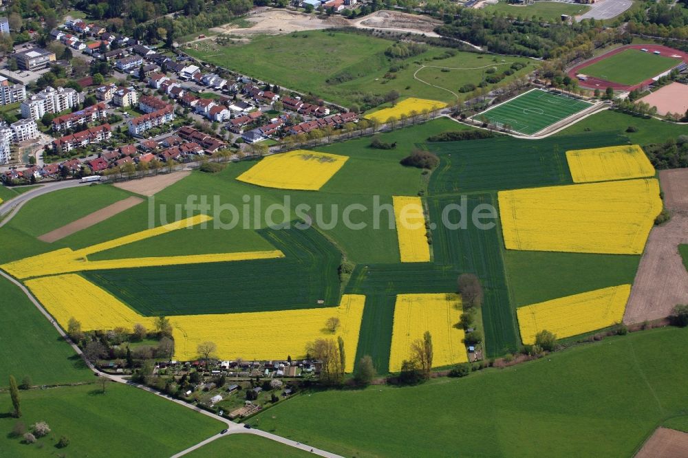 Luftaufnahme Rheinfelden (Baden) - Feld- Landschaft gelb blühender Raps- Blüten in Rheinfelden (Baden) im Bundesland Baden-Württemberg