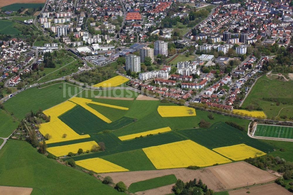 Rheinfelden (Baden) von oben - Feld- Landschaft gelb blühender Raps- Blüten in Rheinfelden (Baden) im Bundesland Baden-Württemberg