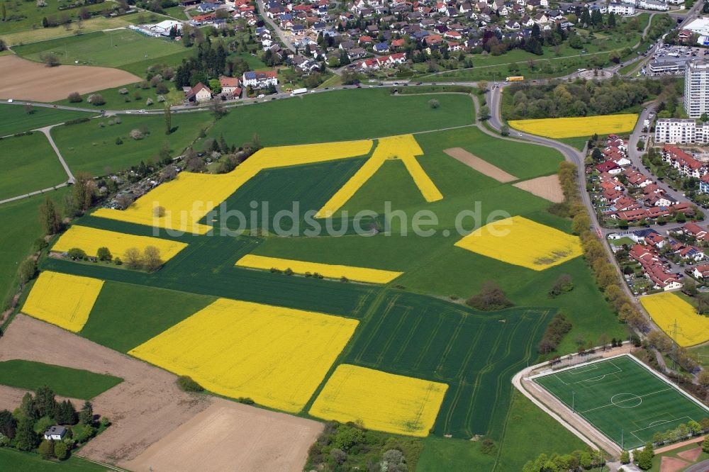 Rheinfelden (Baden) aus der Vogelperspektive: Feld- Landschaft gelb blühender Raps- Blüten in Rheinfelden (Baden) im Bundesland Baden-Württemberg