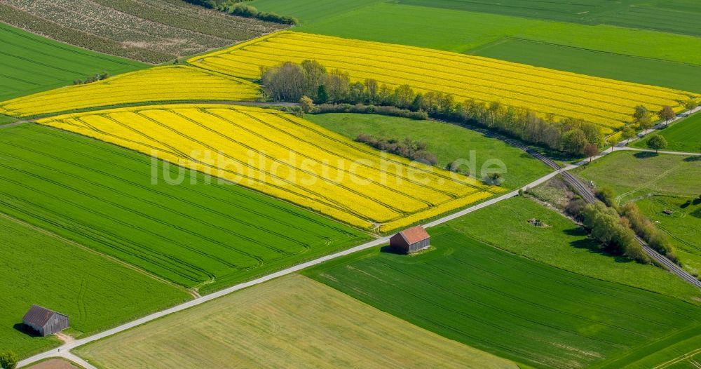 Luftbild Rüthen - Feld- Landschaft gelb blühender Raps- Blüten in Rüthen im Bundesland Nordrhein-Westfalen, Deutschland