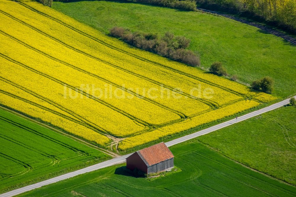 Luftaufnahme Rüthen - Feld- Landschaft gelb blühender Raps- Blüten in Rüthen im Bundesland Nordrhein-Westfalen, Deutschland