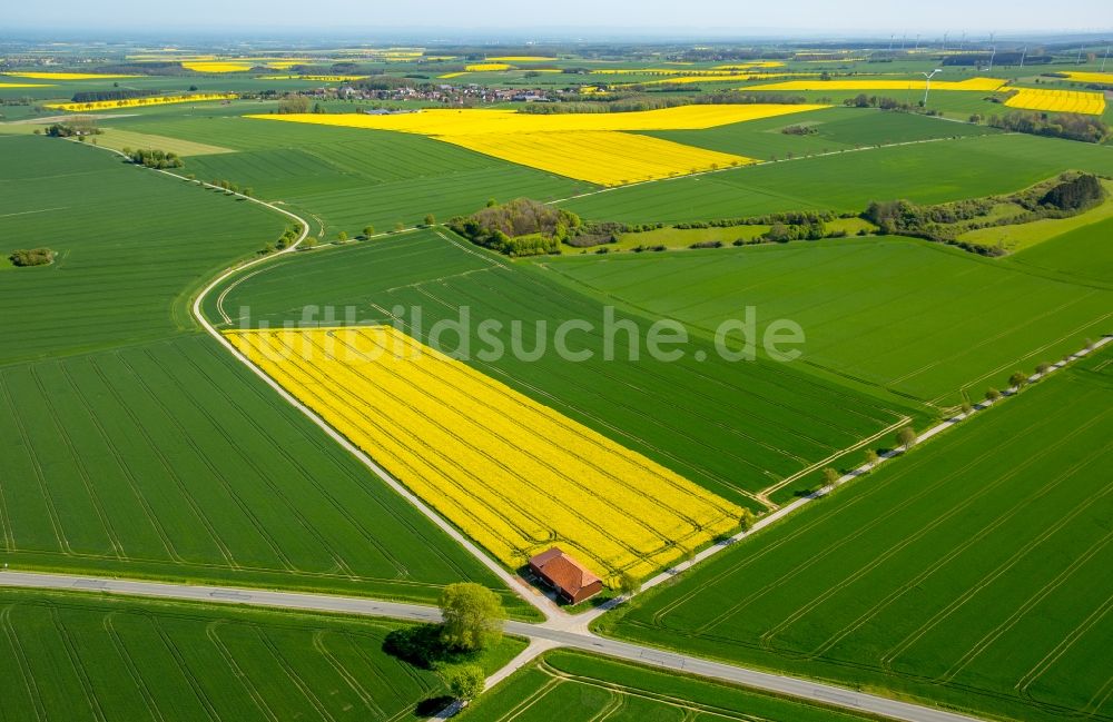 Rüthen von oben - Feld- Landschaft gelb blühender Raps- Blüten in Rüthen im Bundesland Nordrhein-Westfalen, Deutschland