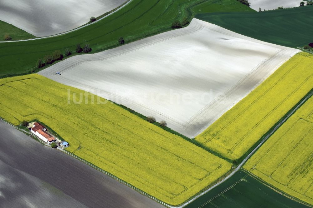 Saint-Antoine-Cumond aus der Vogelperspektive: Feld- Landschaft gelb blühender Raps- Blüten in Saint-Antoine-Cumond in Aquitaine Limousin Poitou-Charentes, Frankreich