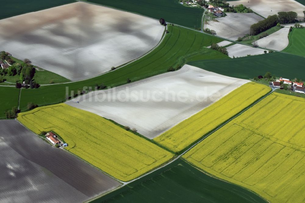 Saint-Antoine-Cumond aus der Vogelperspektive: Feld- Landschaft gelb blühender Raps- Blüten in Saint-Antoine-Cumond in Aquitaine Limousin Poitou-Charentes, Frankreich