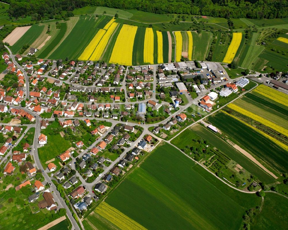 Luftaufnahme Schlichten - Feld- Landschaft gelb blühender Raps- Blüten in Schlichten im Bundesland Baden-Württemberg, Deutschland