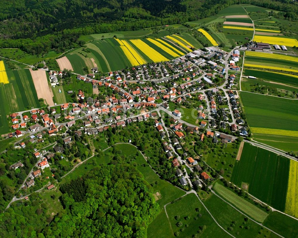 Schlichten aus der Vogelperspektive: Feld- Landschaft gelb blühender Raps- Blüten in Schlichten im Bundesland Baden-Württemberg, Deutschland