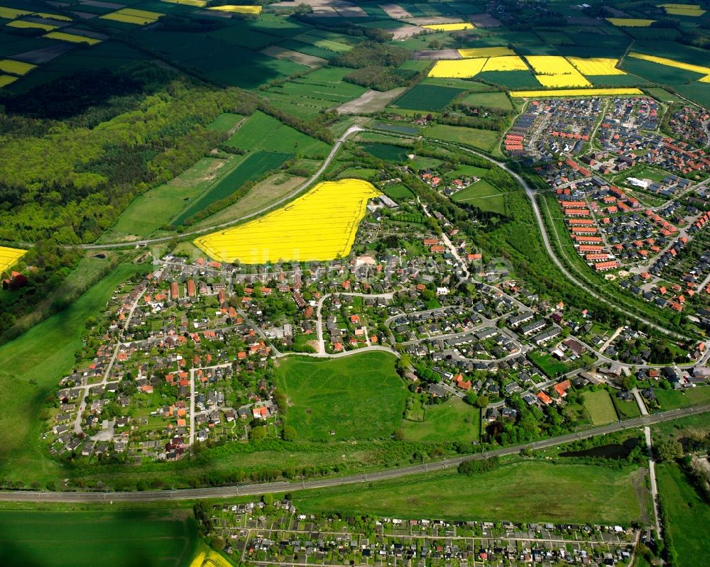 Luftaufnahme Schwarzenbek - Feld- Landschaft gelb blühender Raps- Blüten in Schwarzenbek im Bundesland Schleswig-Holstein, Deutschland