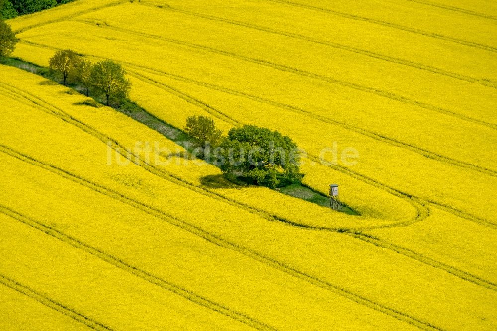 Luftaufnahme Südkirchen - Feld- Landschaft gelb blühender Raps- Blüten in Südkirchen im Bundesland Nordrhein-Westfalen, Deutschland