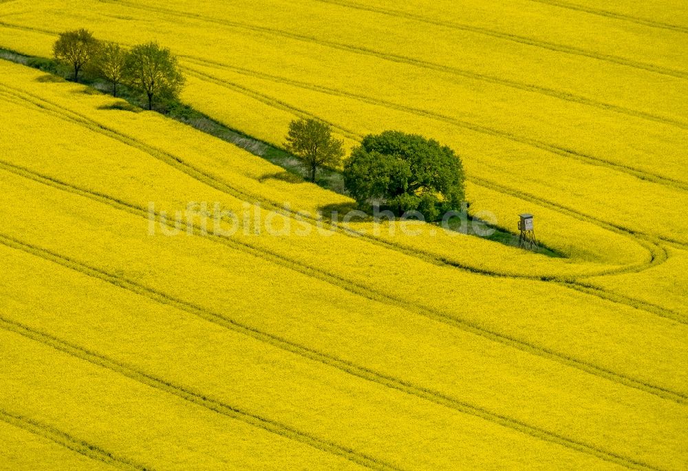 Luftaufnahme Südkirchen - Feld- Landschaft gelb blühender Raps- Blüten in Südkirchen im Bundesland Nordrhein-Westfalen, Deutschland