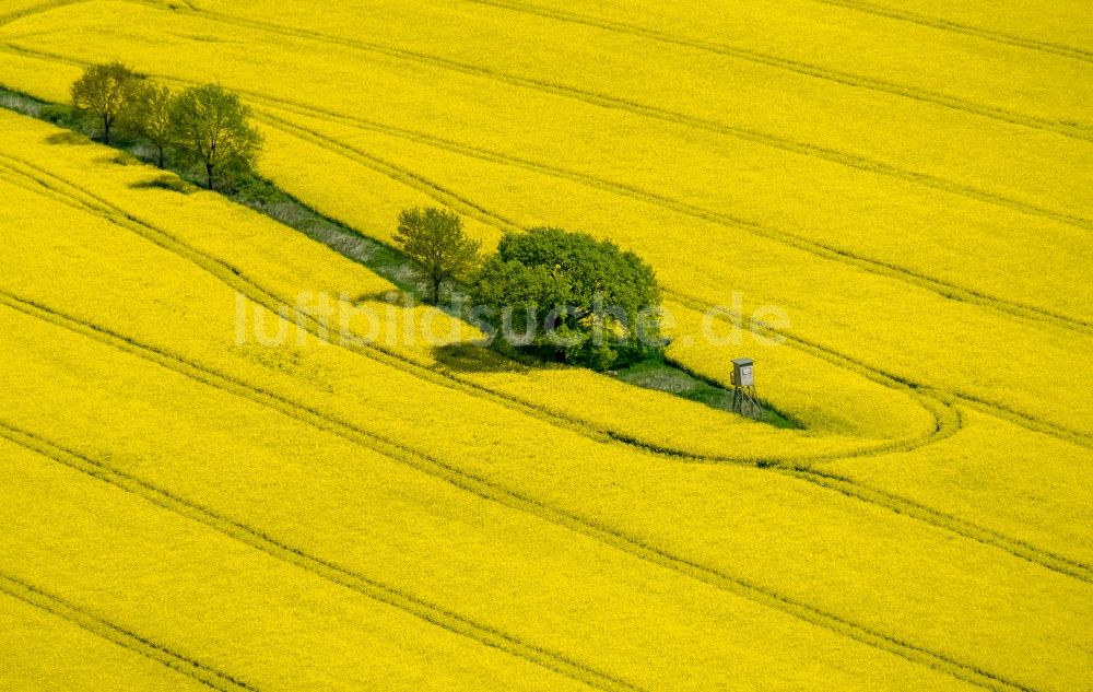 Südkirchen aus der Vogelperspektive: Feld- Landschaft gelb blühender Raps- Blüten in Südkirchen im Bundesland Nordrhein-Westfalen, Deutschland