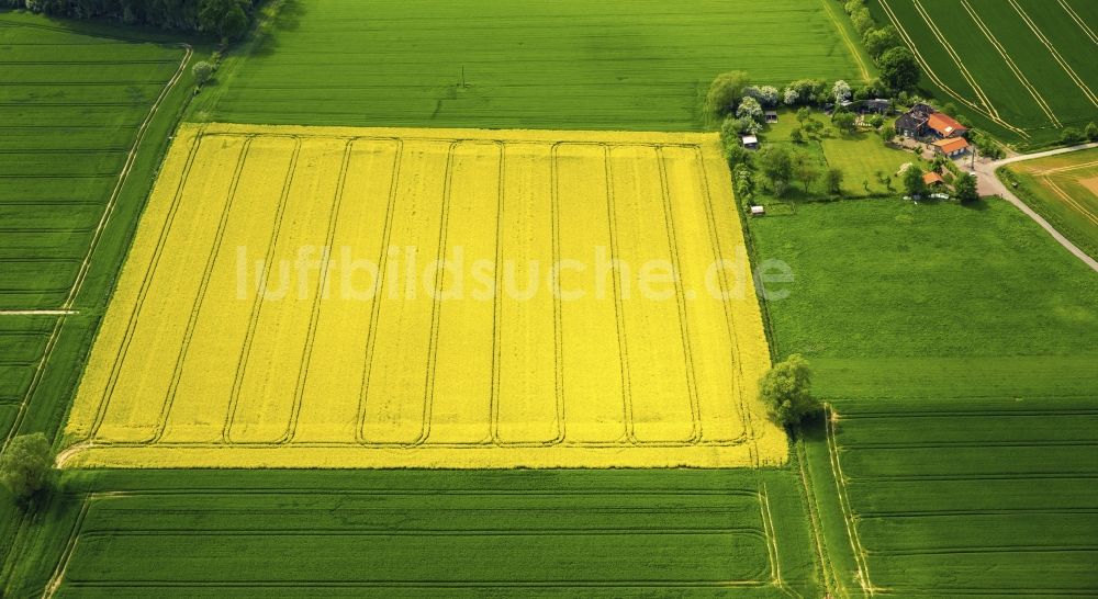 Luftbild Werl - Feld- Landschaft gelb blühender Raps- Blüten der Soester Börde in Werl im Bundesland Nordrhein-Westfalen