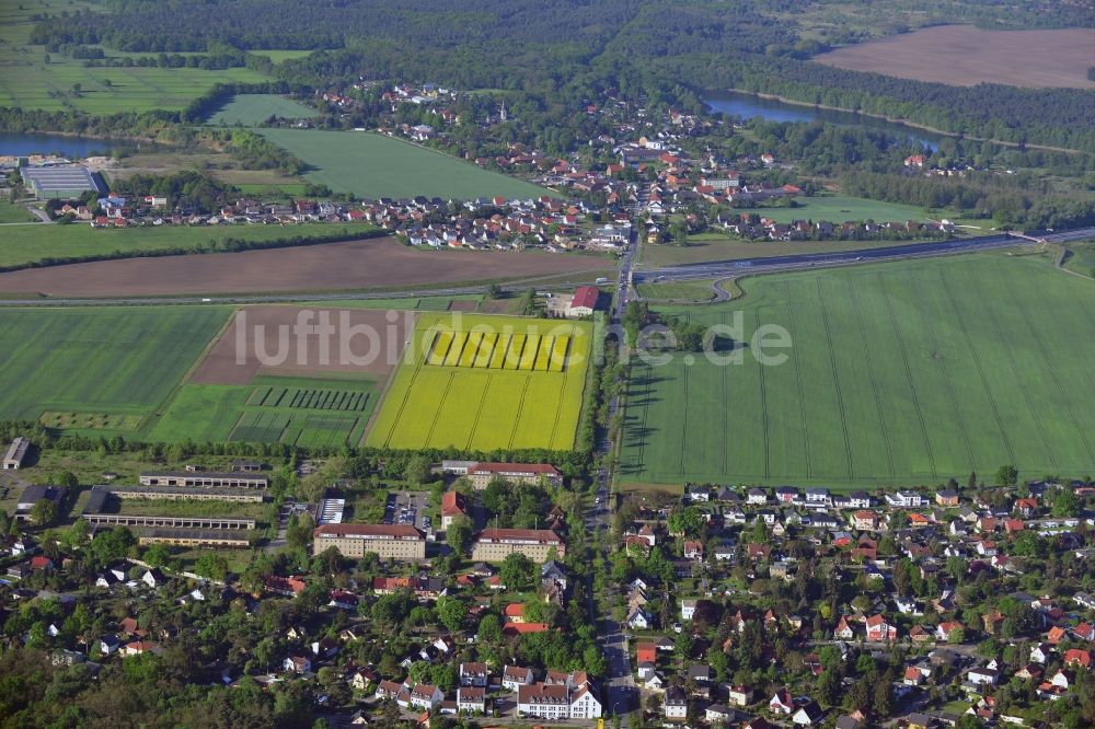 Stahnsdorf von oben - Feld- Landschaft gelb blühender Raps- Blüten in Stahnsdorf im Bundesland Brandenburg