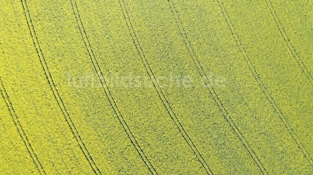 Thieshope von oben - Feld- Landschaft gelb blühender Raps- Blüten in Thieshope im Bundesland Niedersachsen, Deutschland