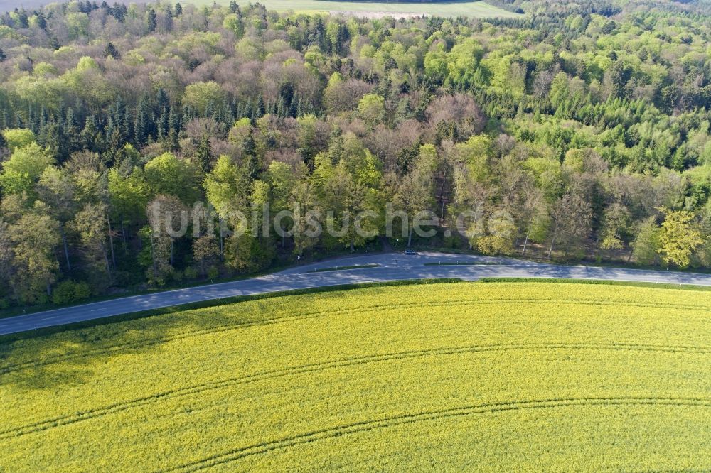 Thieshope aus der Vogelperspektive: Feld- Landschaft gelb blühender Raps- Blüten in Thieshope im Bundesland Niedersachsen, Deutschland