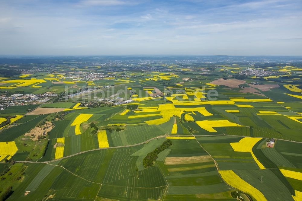 Luftaufnahme Thür - Feld- Landschaft gelb blühender Raps- Blüten in Thür im Bundesland Rheinland-Pfalz