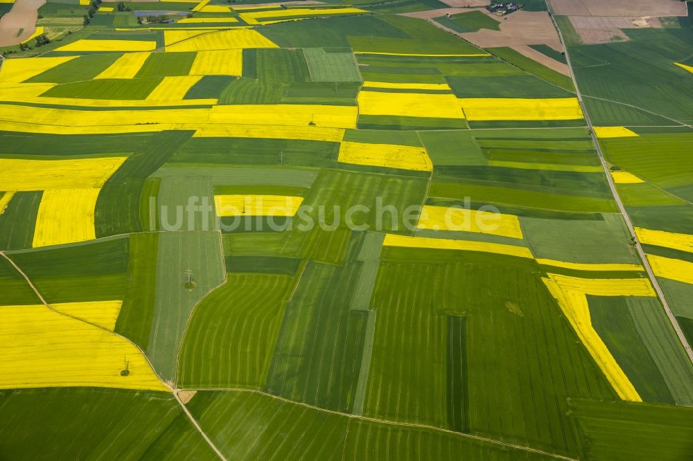 Thür von oben - Feld- Landschaft gelb blühender Raps- Blüten in Thür im Bundesland Rheinland-Pfalz