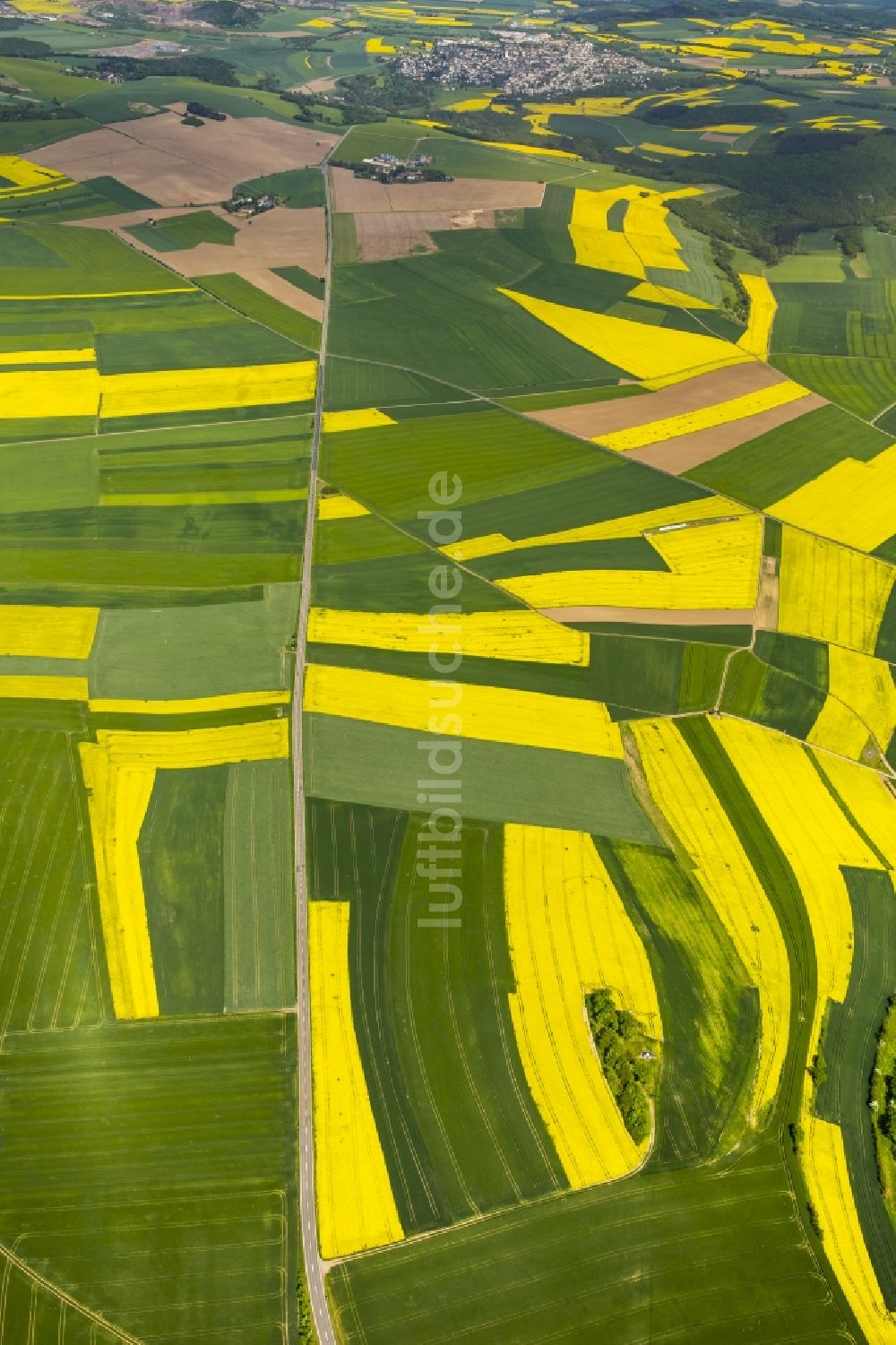 Thür aus der Vogelperspektive: Feld- Landschaft gelb blühender Raps- Blüten in Thür im Bundesland Rheinland-Pfalz