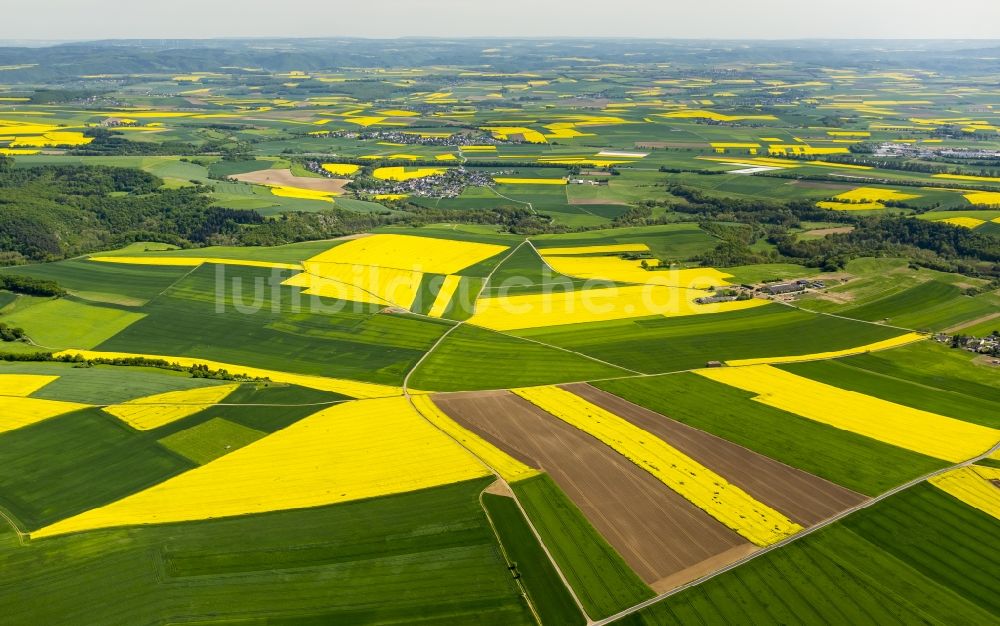 Luftaufnahme Thür - Feld- Landschaft gelb blühender Raps- Blüten in Thür im Bundesland Rheinland-Pfalz