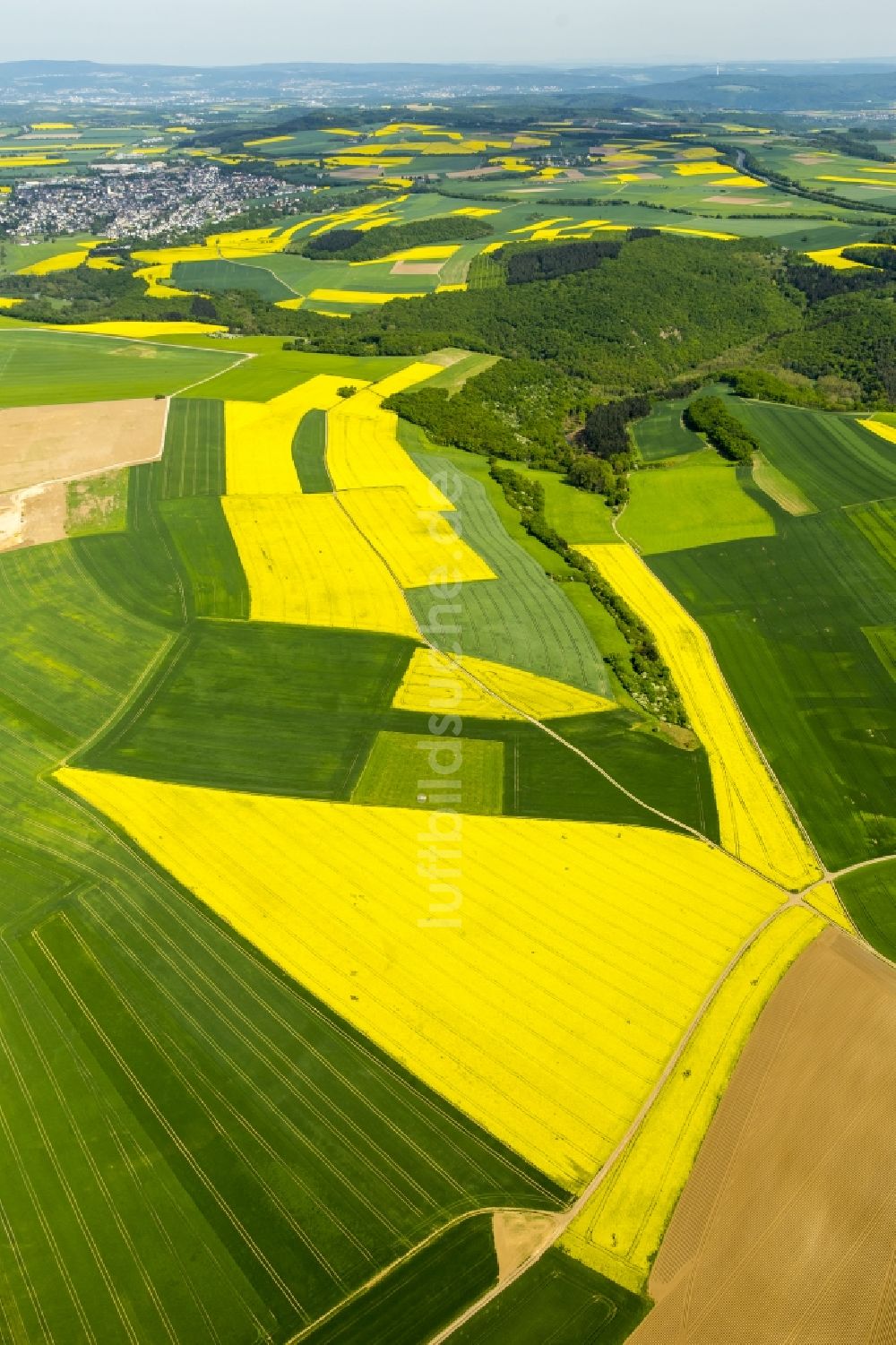 Thür aus der Vogelperspektive: Feld- Landschaft gelb blühender Raps- Blüten in Thür im Bundesland Rheinland-Pfalz