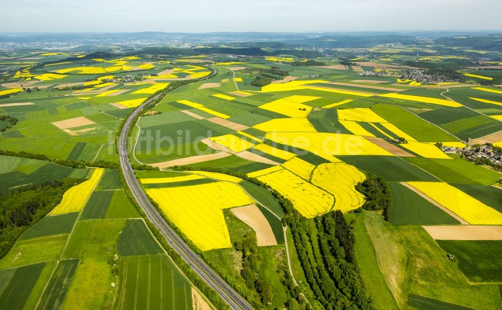 Luftbild Thür - Feld- Landschaft gelb blühender Raps- Blüten in Thür im Bundesland Rheinland-Pfalz