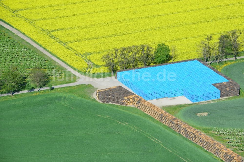 Wesendahl aus der Vogelperspektive: Feld- Landschaft gelb blühender Raps- Blüten in Wesendahl im Bundesland Brandenburg