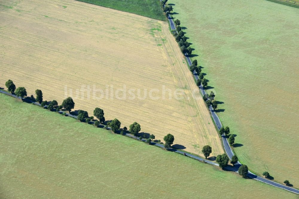 Linz aus der Vogelperspektive: Feld- Landschaft mit Landstraßen - Weg - Gabelung bei Linz im Bundesland Sachsen in Deutschland