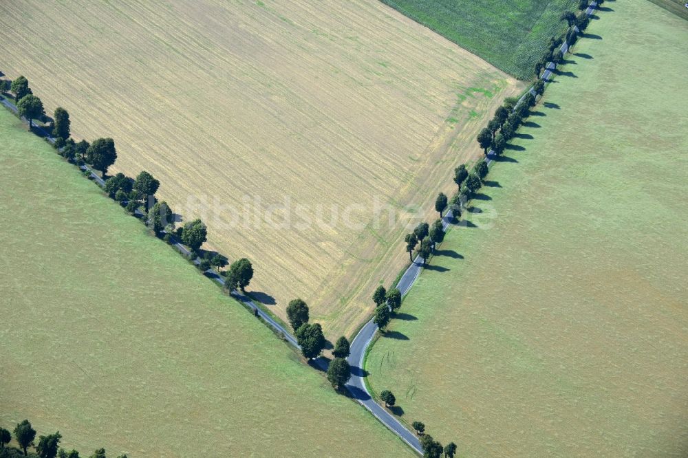 Linz von oben - Feld- Landschaft mit Landstraßen - Weg - Gabelung bei Linz im Bundesland Sachsen in Deutschland