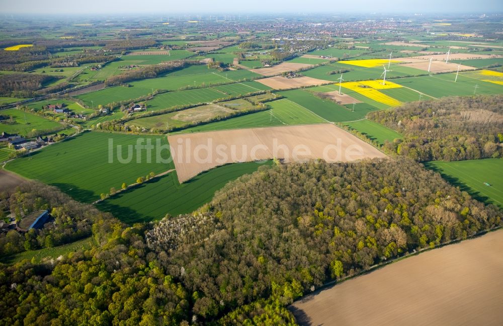 Hamm aus der Vogelperspektive: Feld- Landschaft und landwirtschaftliche Flächen am Heessener Wald im Bereich des ehemaligen Schacht 7 am Stadtteil Heessen in Hamm im Bundesland Nordrhein-Westfalen