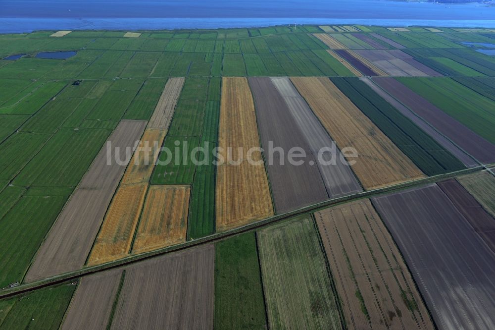 Neuhaus (Oste) von oben - Feld - Landschaft mit Landwirtschafts- Strukturen bei Neuhaus (Oste) im Bundesland Niedersachsen