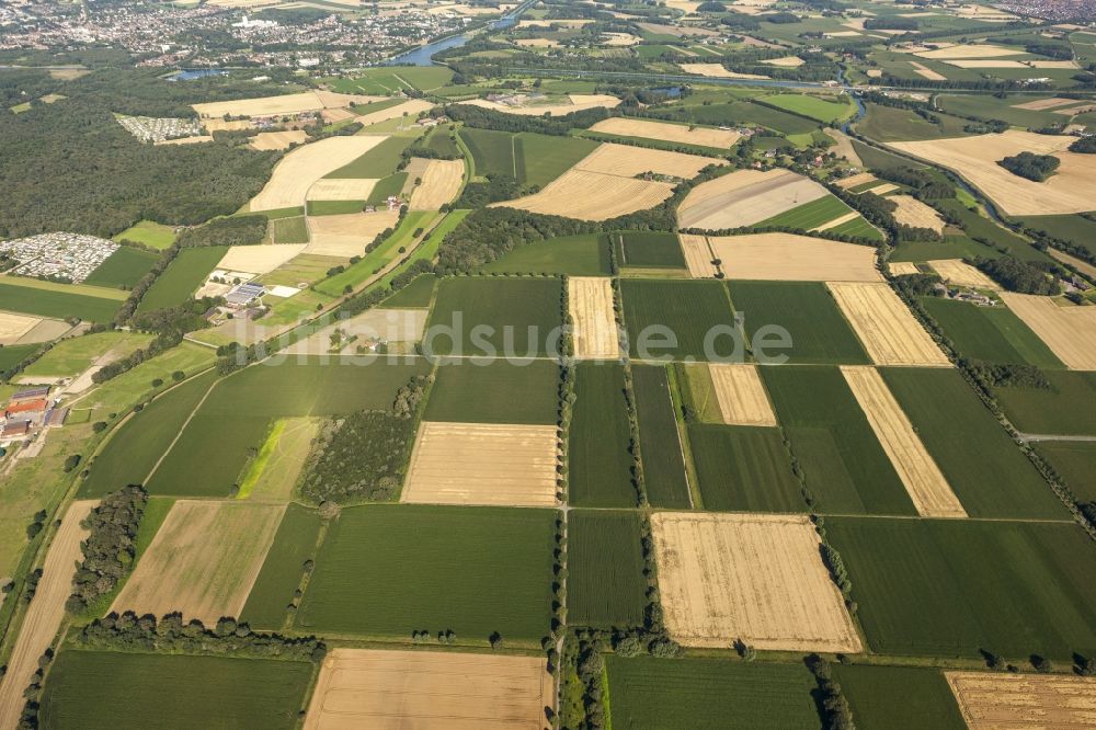 Luftaufnahme Datteln - Feld- Strukturen und landwirtschaftliche Nutzflächen bei Datteln im Bundesland Nordrhein-Westfalen