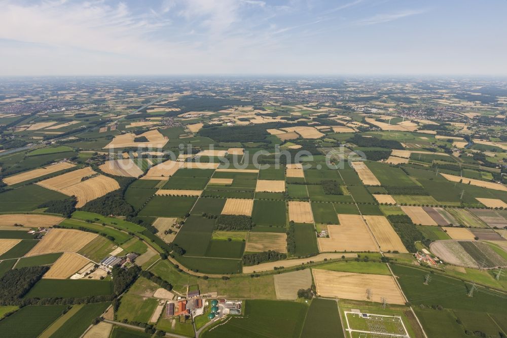 Datteln von oben - Feld- Strukturen und landwirtschaftliche Nutzflächen bei Datteln im Bundesland Nordrhein-Westfalen