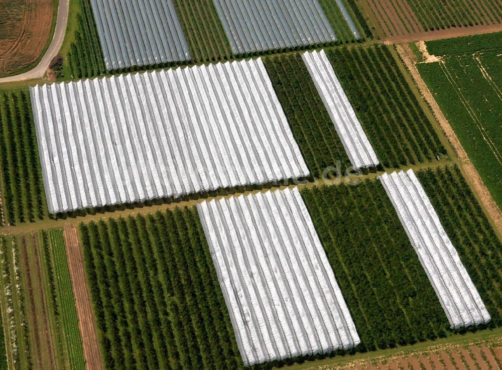 Nörvenich von oben - Feld- Strukturen und landwirtschaftliche Nutzflächen bei Pingsheim im Bundesland Nordrhein-Westfalen