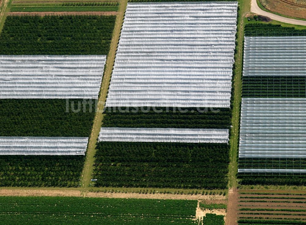 Nörvenich aus der Vogelperspektive: Feld- Strukturen und landwirtschaftliche Nutzflächen bei Pingsheim im Bundesland Nordrhein-Westfalen