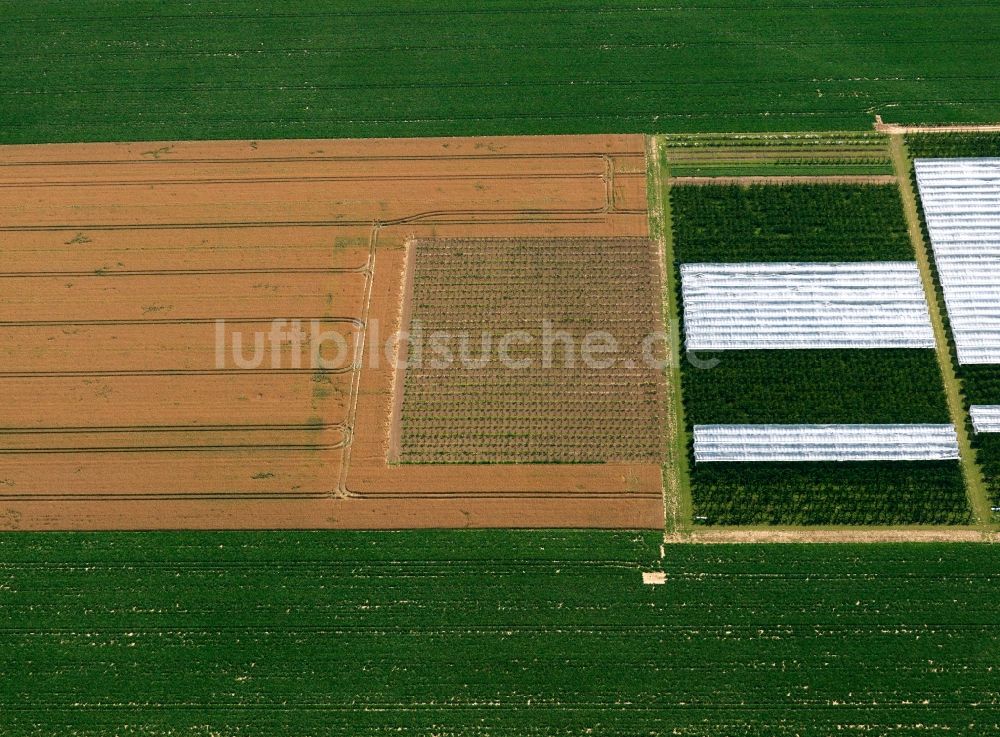 Luftbild Nörvenich - Feld- Strukturen und landwirtschaftliche Nutzflächen bei Pingsheim im Bundesland Nordrhein-Westfalen