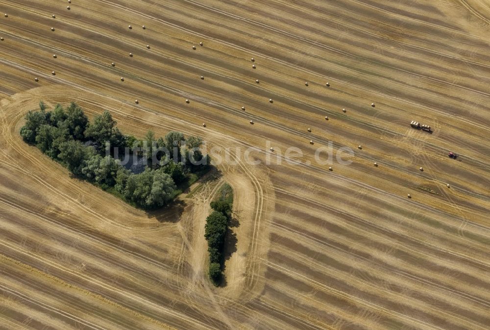 Luftaufnahme Dettmannsdorf - Feld - Strukturen auf spätsommerlich abgeernteten Feldern bei Dettmannsdorf im Bundesland Mecklenburg-Vorpommern