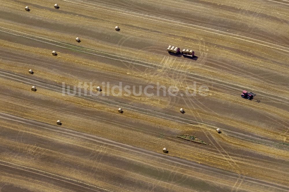 Dettmannsdorf von oben - Feld - Strukturen auf spätsommerlich abgeernteten Feldern bei Dettmannsdorf im Bundesland Mecklenburg-Vorpommern