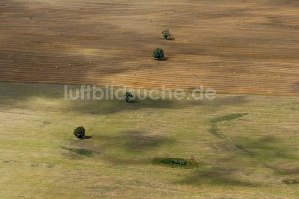 Dettmannsdorf von oben - Feld - Strukturen auf spätsommerlich abgeernteten Feldern bei Dettmannsdorf im Bundesland Mecklenburg-Vorpommern