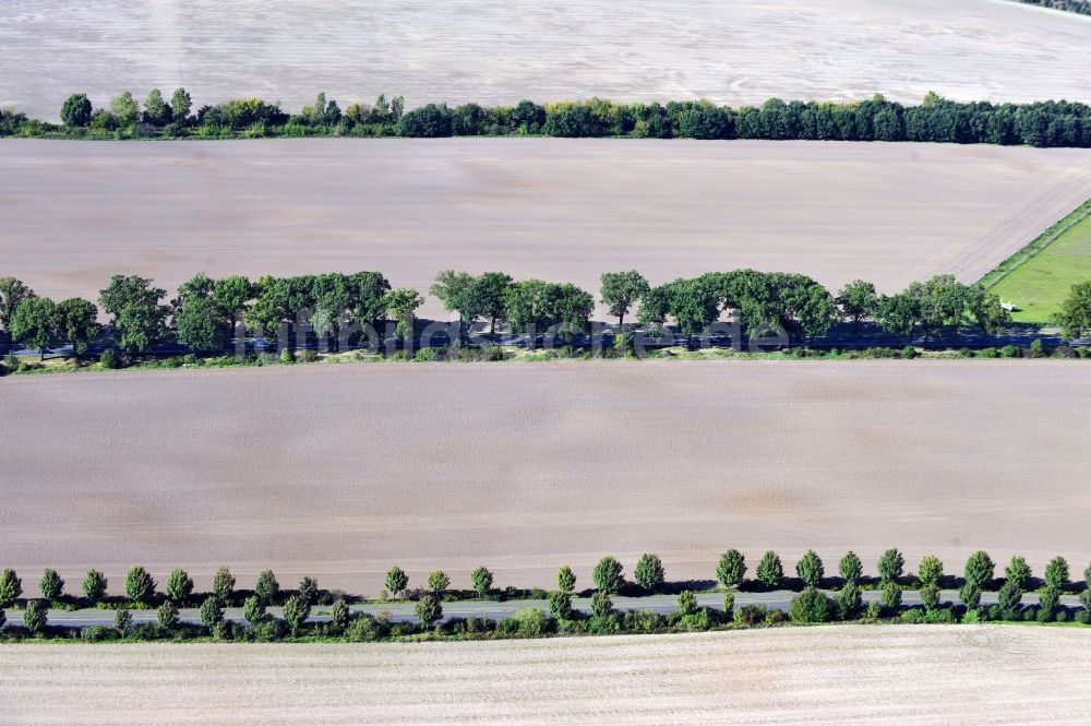 Luftbild Werneuchen - Feld in Werneuchen im Bundesland Brandenburg