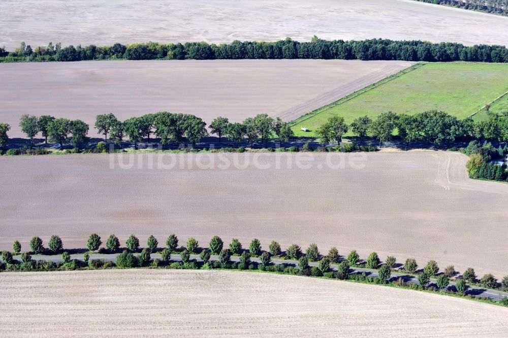 Luftaufnahme Werneuchen - Feld in Werneuchen im Bundesland Brandenburg