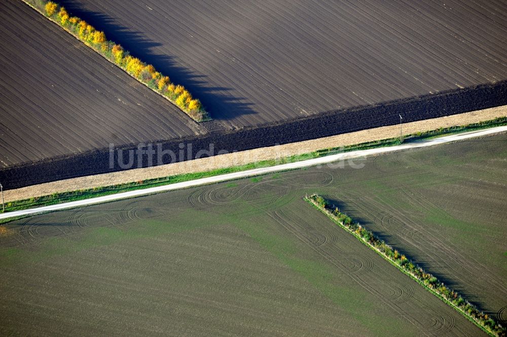 Taucha aus der Vogelperspektive: Feld zwischen Taucha und Nellschütz in Sachsen-Anhalt