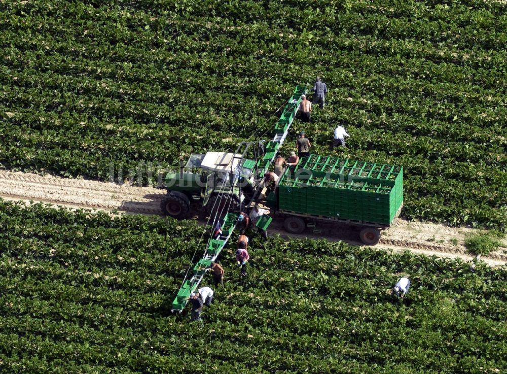 Würzburg aus der Vogelperspektive: Feldarbeit, Ernte und Landwirtschaft in der Planungsregion Würzburg in Unterfranken im Bundesland Bayern