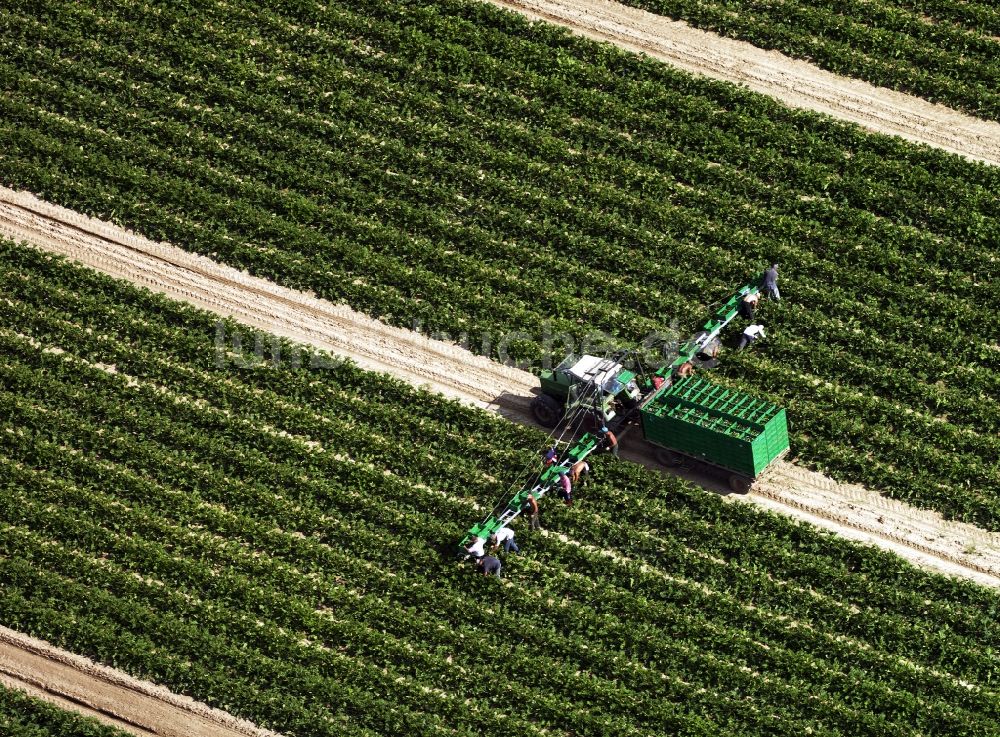 Luftbild Würzburg - Feldarbeit, Ernte und Landwirtschaft in der Planungsregion Würzburg in Unterfranken im Bundesland Bayern