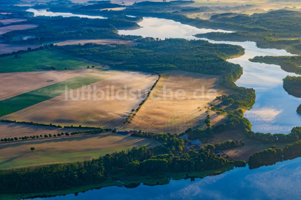 Luftaufnahme Salem - Felder Allee im Morgennebel in Salem im Bundesland Schleswig-Holstein, Deutschland