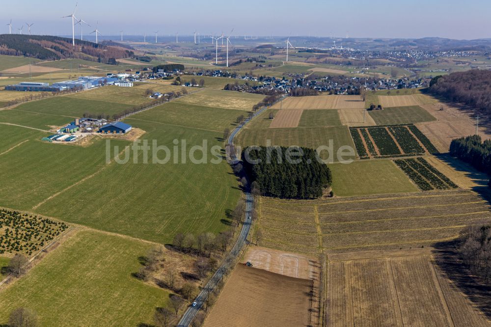 Brilon von oben - Felder und angrenzende Waldgebiete in Brilon im Bundesland Nordrhein-Westfalen, Deutschland