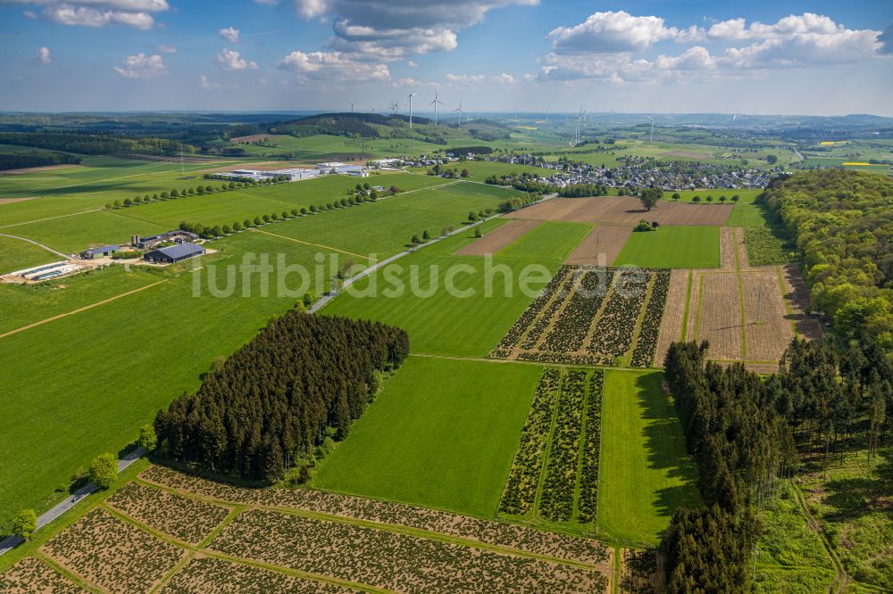 Luftbild Brilon - Felder und angrenzende Waldgebiete in Brilon im Bundesland Nordrhein-Westfalen, Deutschland