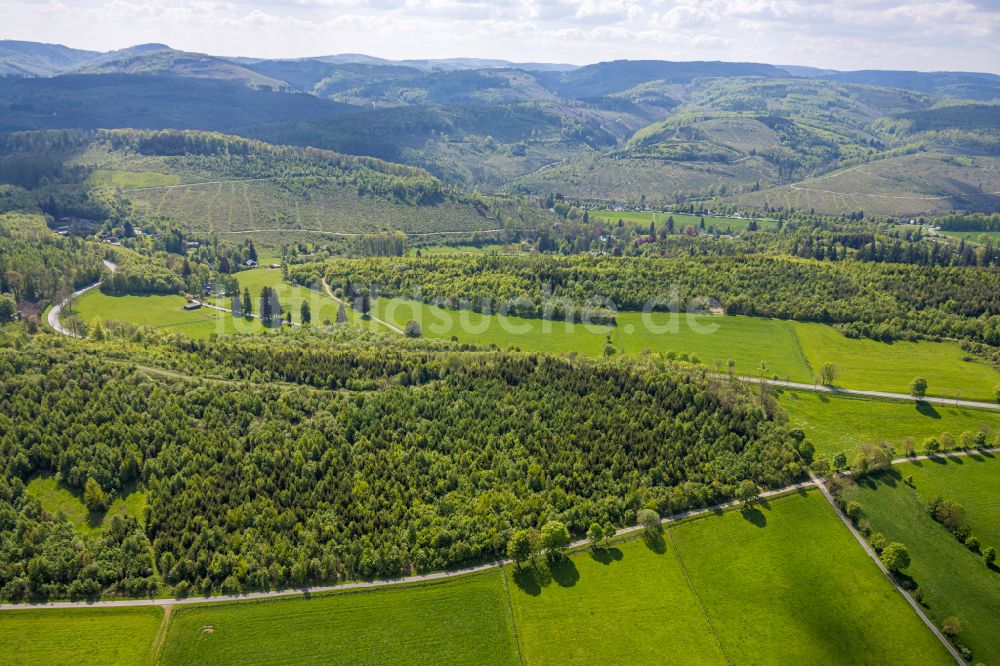 Brilon von oben - Felder und angrenzende Waldgebiete in Brilon im Bundesland Nordrhein-Westfalen, Deutschland