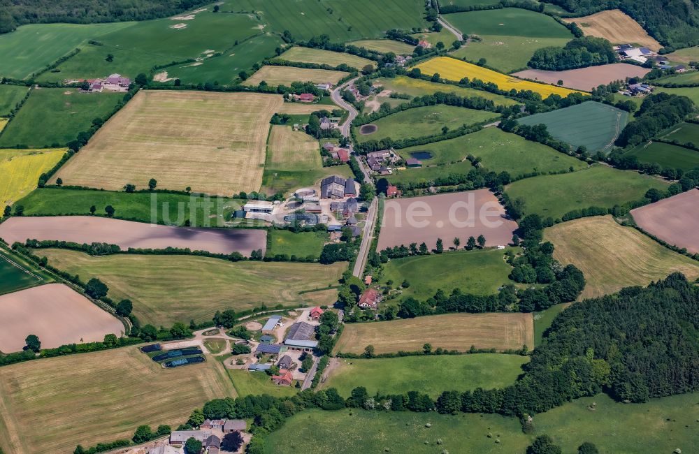 Güby aus der Vogelperspektive: Felder und angrenzende Waldgebiete in Güby im Bundesland Schleswig-Holstein, Deutschland