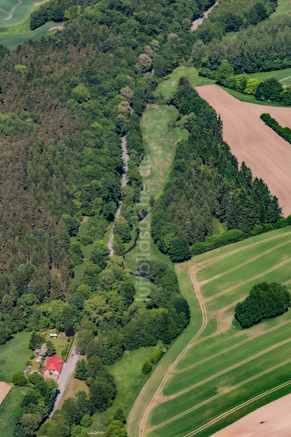 Giekau von oben - Felder und angrenzende Waldgebiete in Giekau im Bundesland Schleswig-Holstein, Deutschland