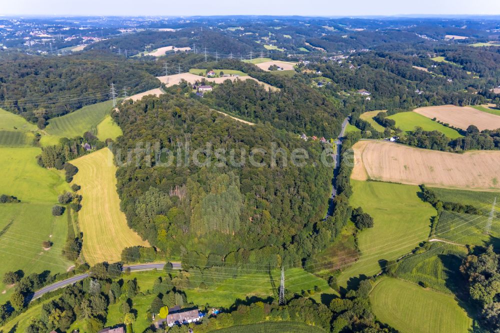 Hattingen aus der Vogelperspektive: Felder und angrenzende Waldgebiete in Hattingen im Bundesland Nordrhein-Westfalen, Deutschland